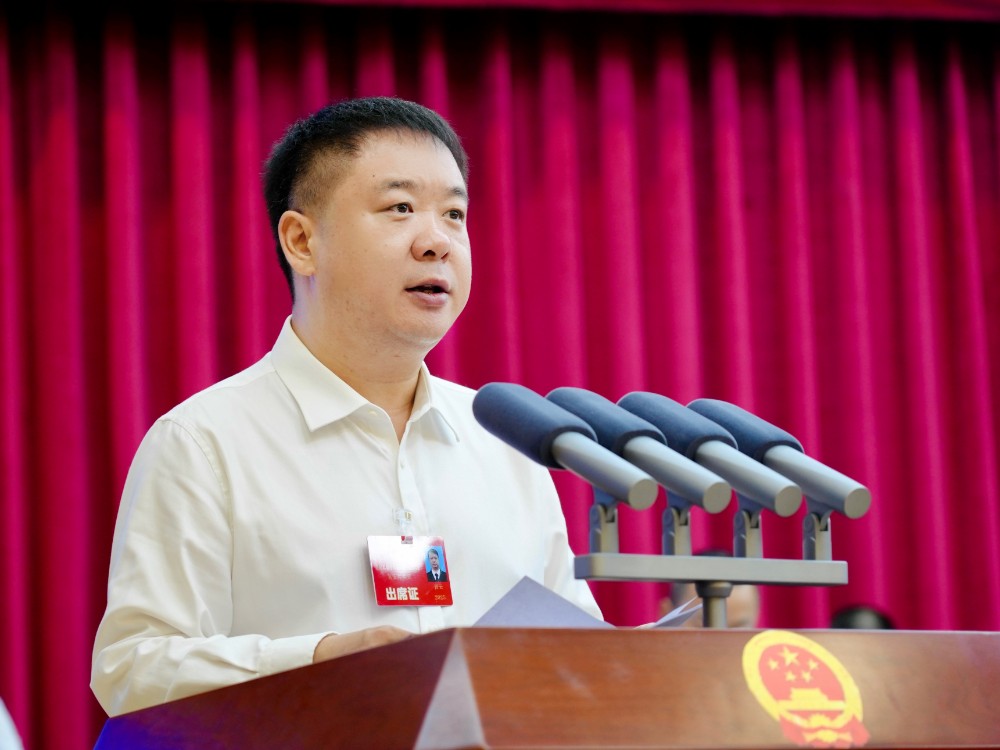 蒼溪縣委副書記、縣長任云作政府工作報告.jpg